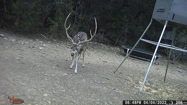 a view of dirt yard with mountain view