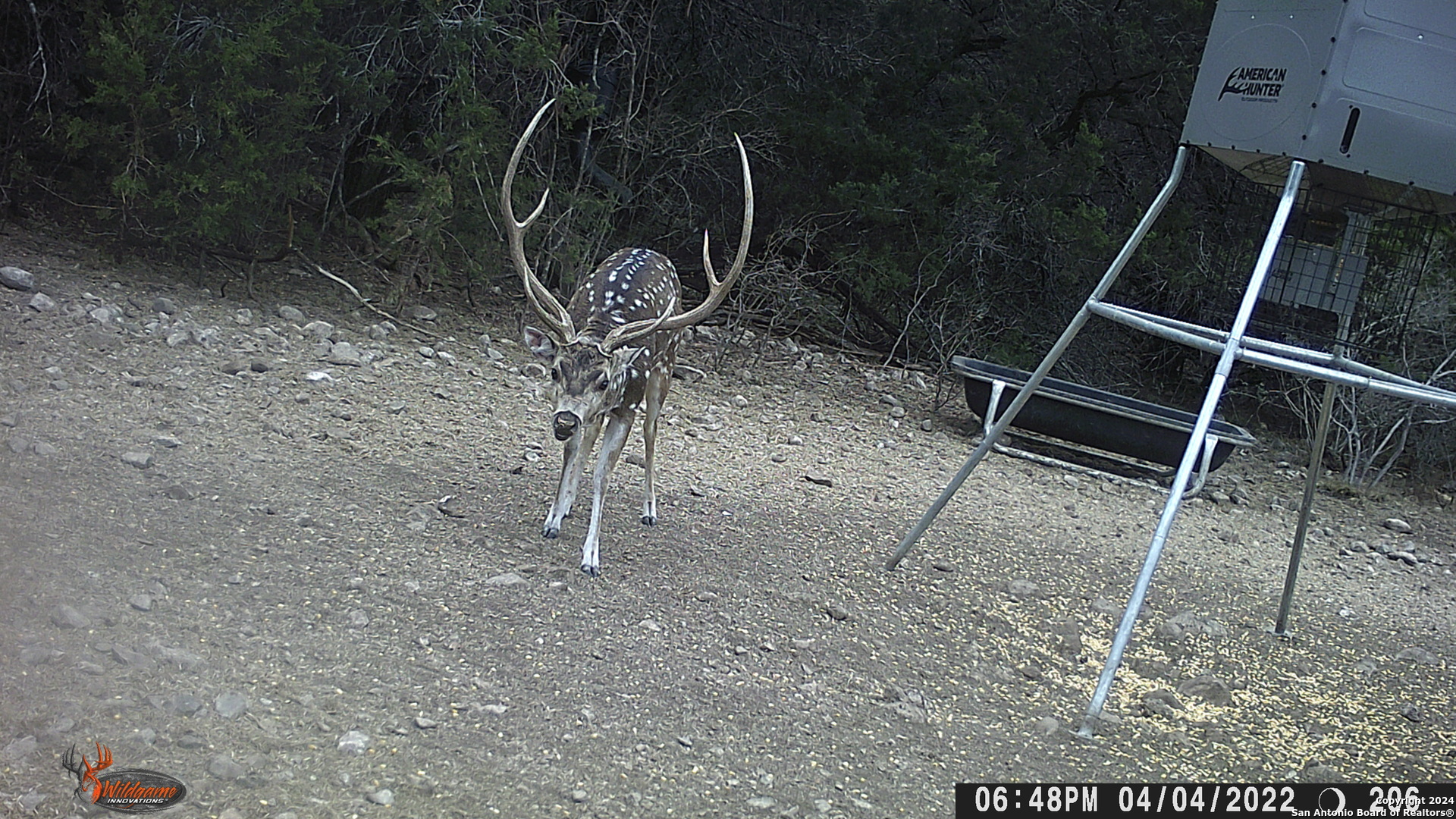 Tbd Tbd Brackettville, TX 78832 - Photo 7 of 13