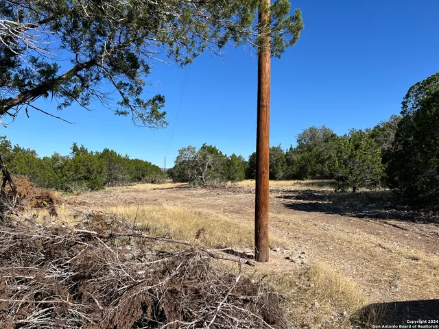 a view of a dry yard with wooden fence