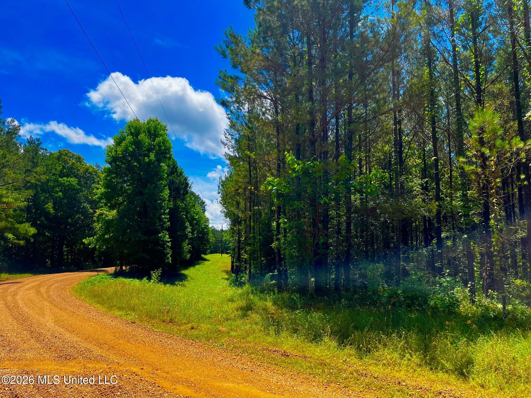 Arthur Drive Brookhaven, MS 39601 - Photo 2 of 20 ar1