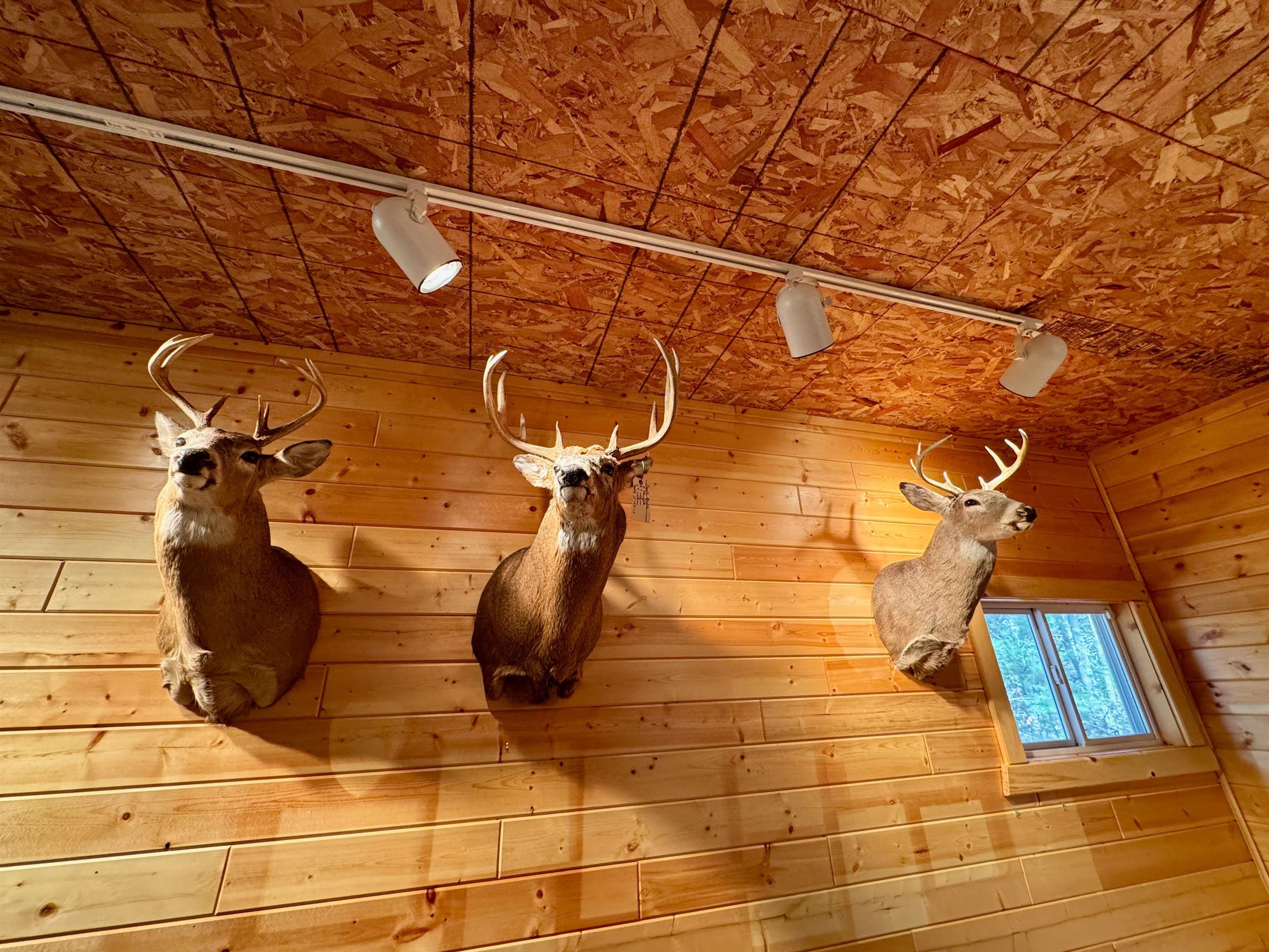 N3530 County Rd O Warrens, WI 54666 - Photo 9 of 71 Gallery Image 9