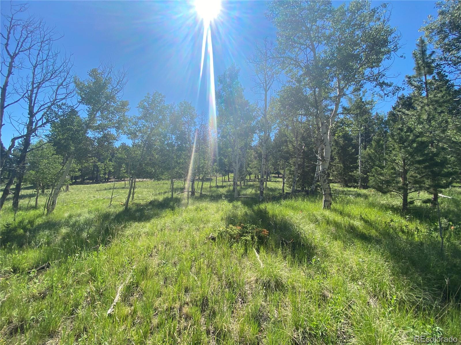1828 Bellows Road Hartsel, CO 80449 - Photo 1 of 40