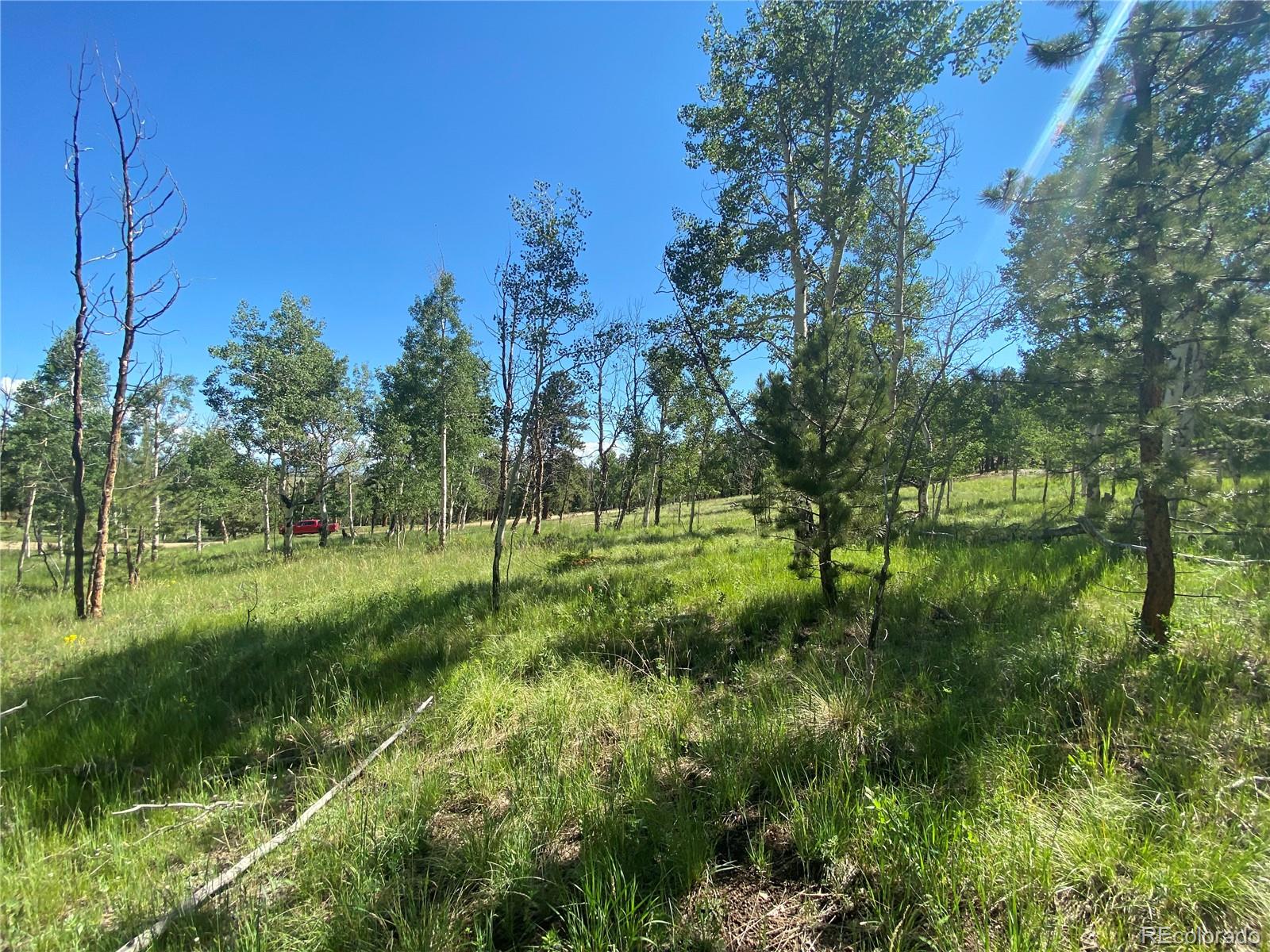1828 Bellows Road Hartsel, CO 80449 - Photo 11 of 40
