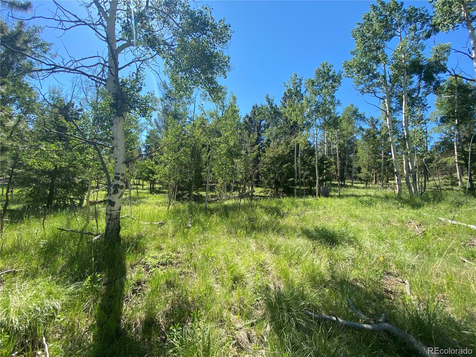 1828 Bellows Road Hartsel, CO 80449 - Photo 12 of 40
