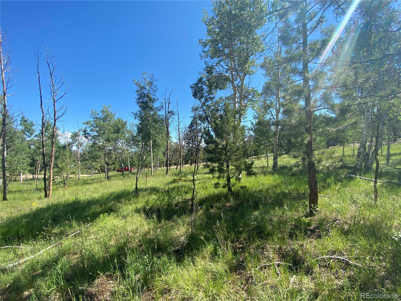 1828 Bellows Road Hartsel, CO 80449 - Photo 13 of 40