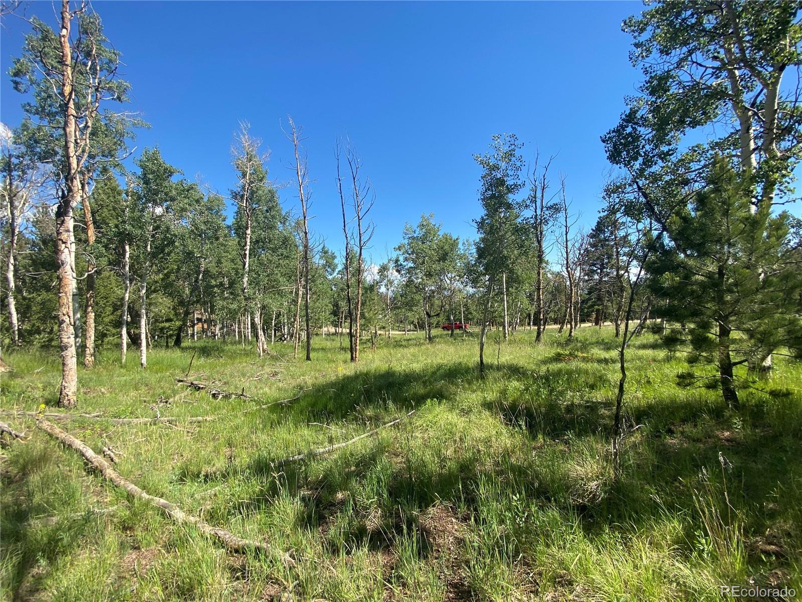 1828 Bellows Road Hartsel, CO 80449 - Photo 14 of 40