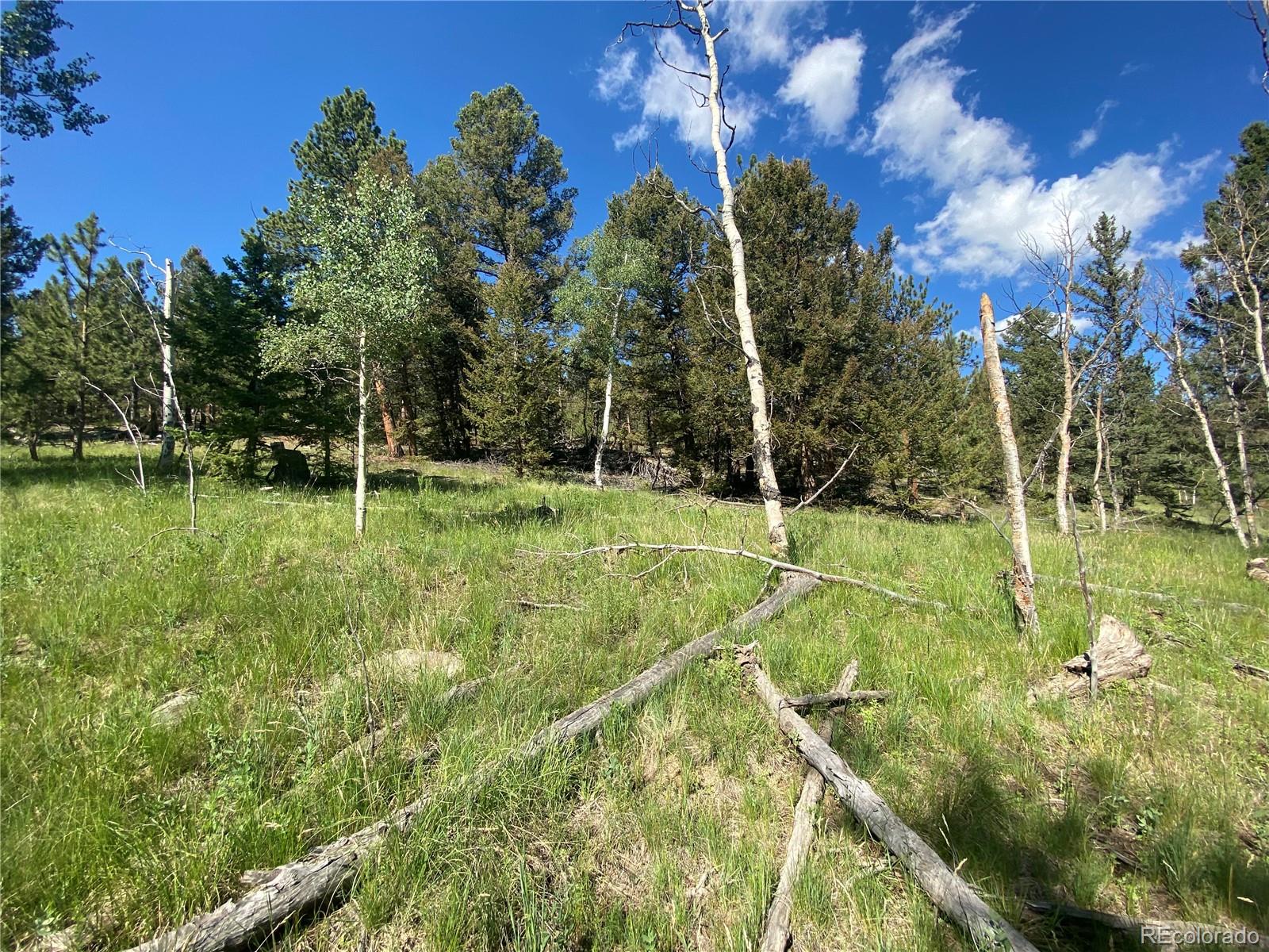 1828 Bellows Road Hartsel, CO 80449 - Photo 16 of 40