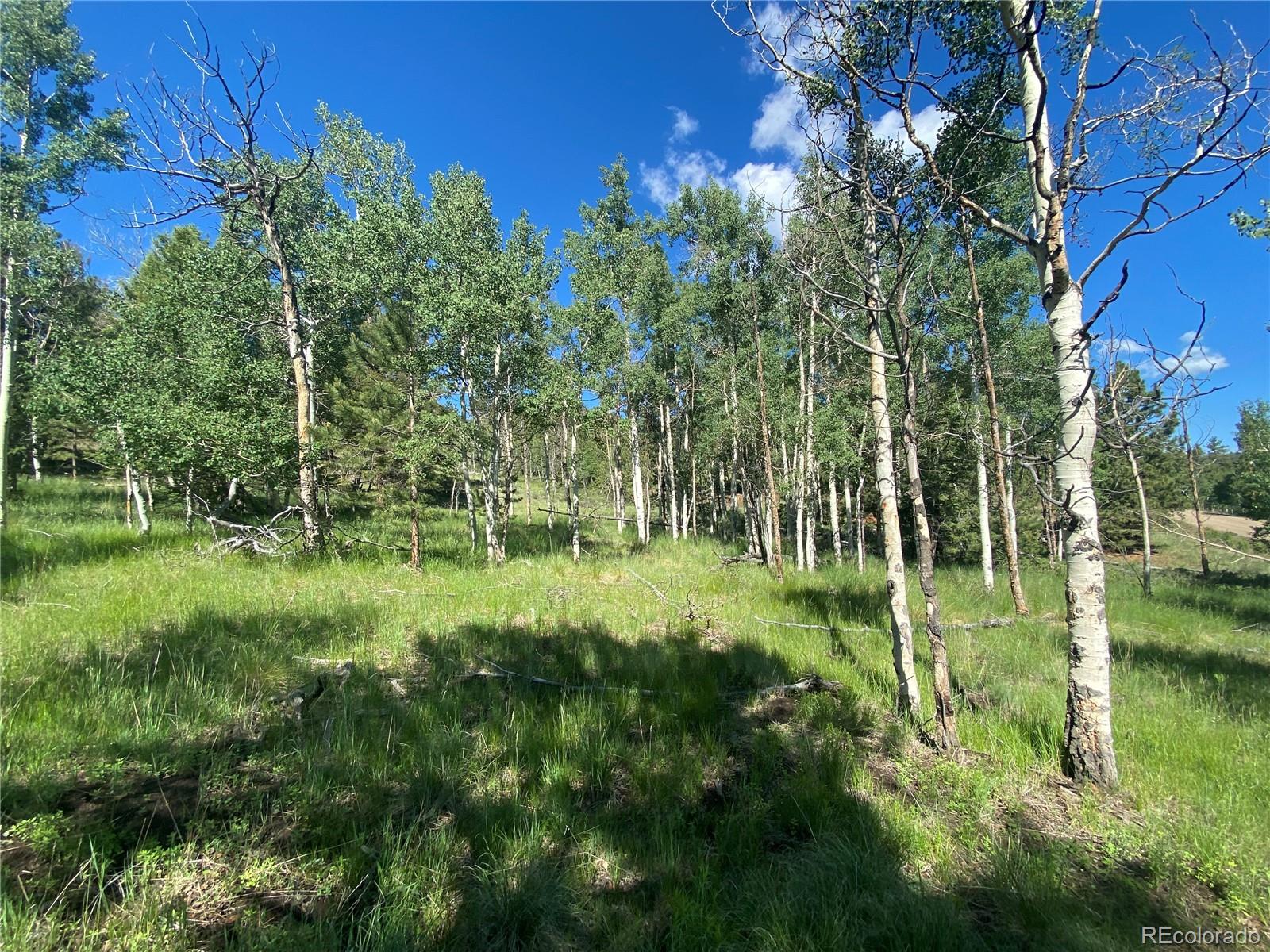 1828 Bellows Road Hartsel, CO 80449 - Photo 18 of 40