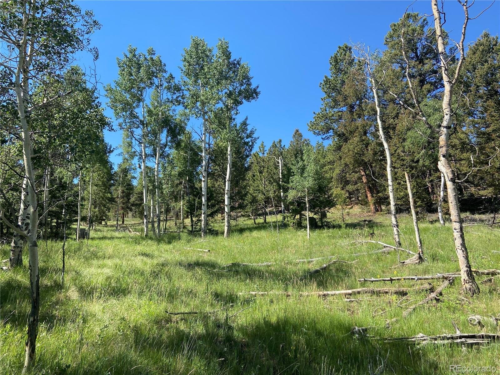 1828 Bellows Road Hartsel, CO 80449 - Photo 20 of 40