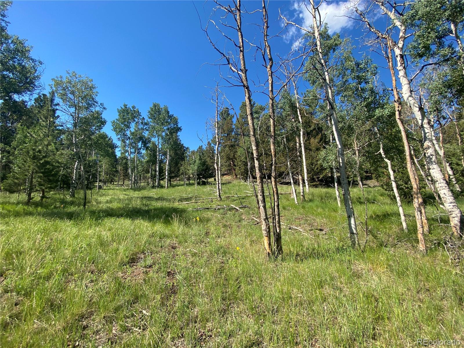 1828 Bellows Road Hartsel, CO 80449 - Photo 22 of 40