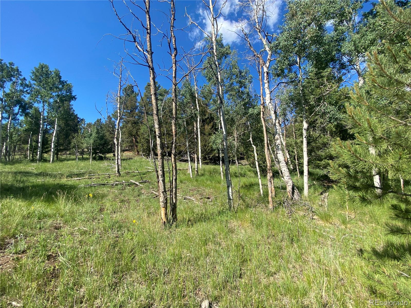 1828 Bellows Road Hartsel, CO 80449 - Photo 23 of 40