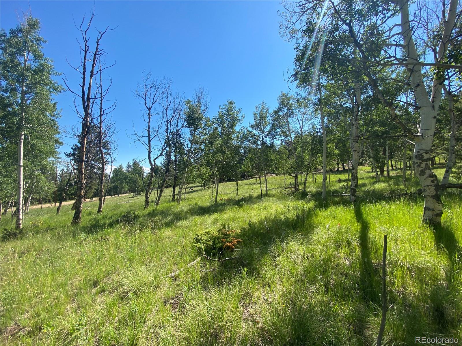 1828 Bellows Road Hartsel, CO 80449 - Photo 24 of 40