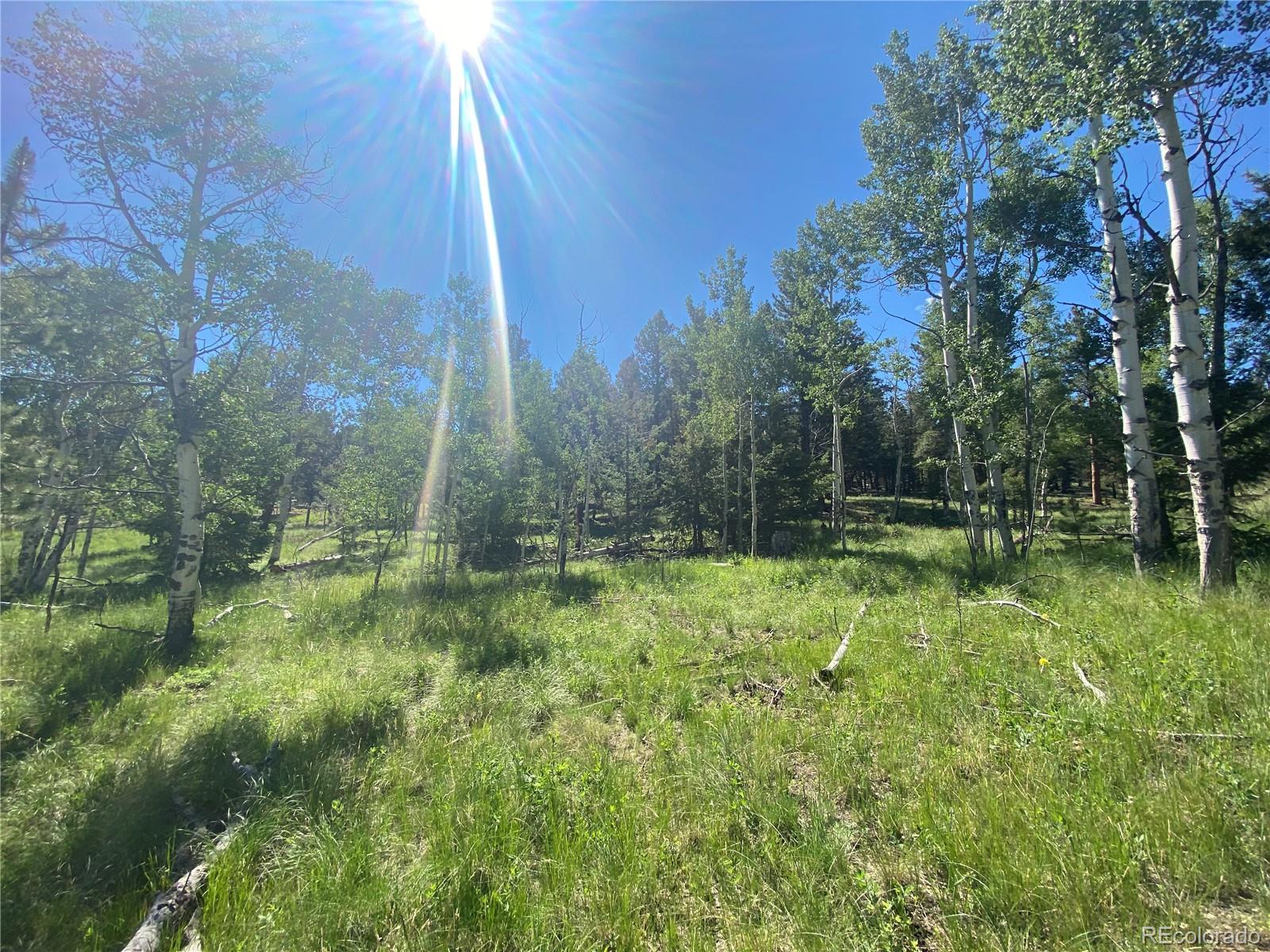 1828 Bellows Road Hartsel, CO 80449 - Photo 25 of 40