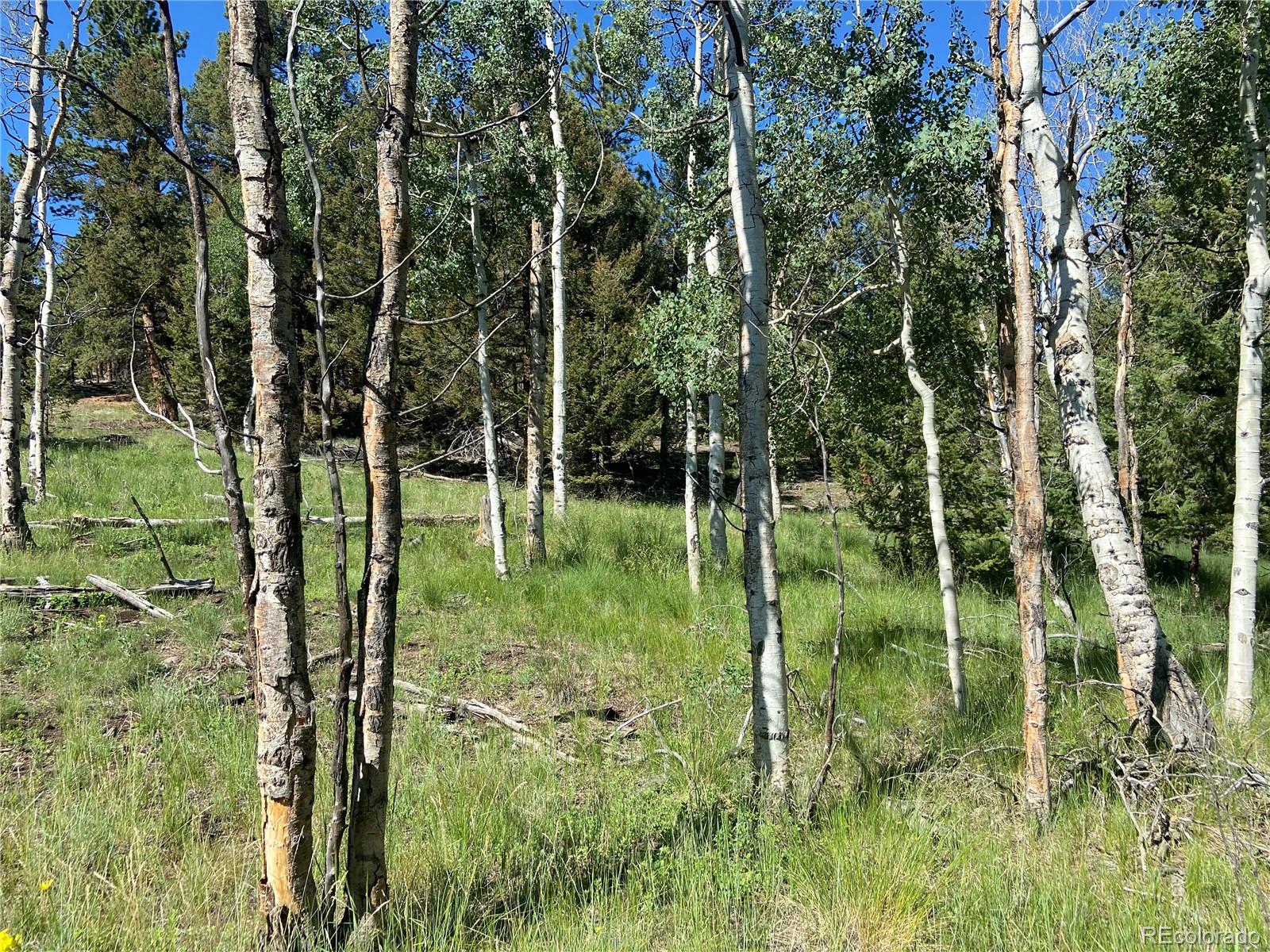 1828 Bellows Road Hartsel, CO 80449 - Photo 26 of 40