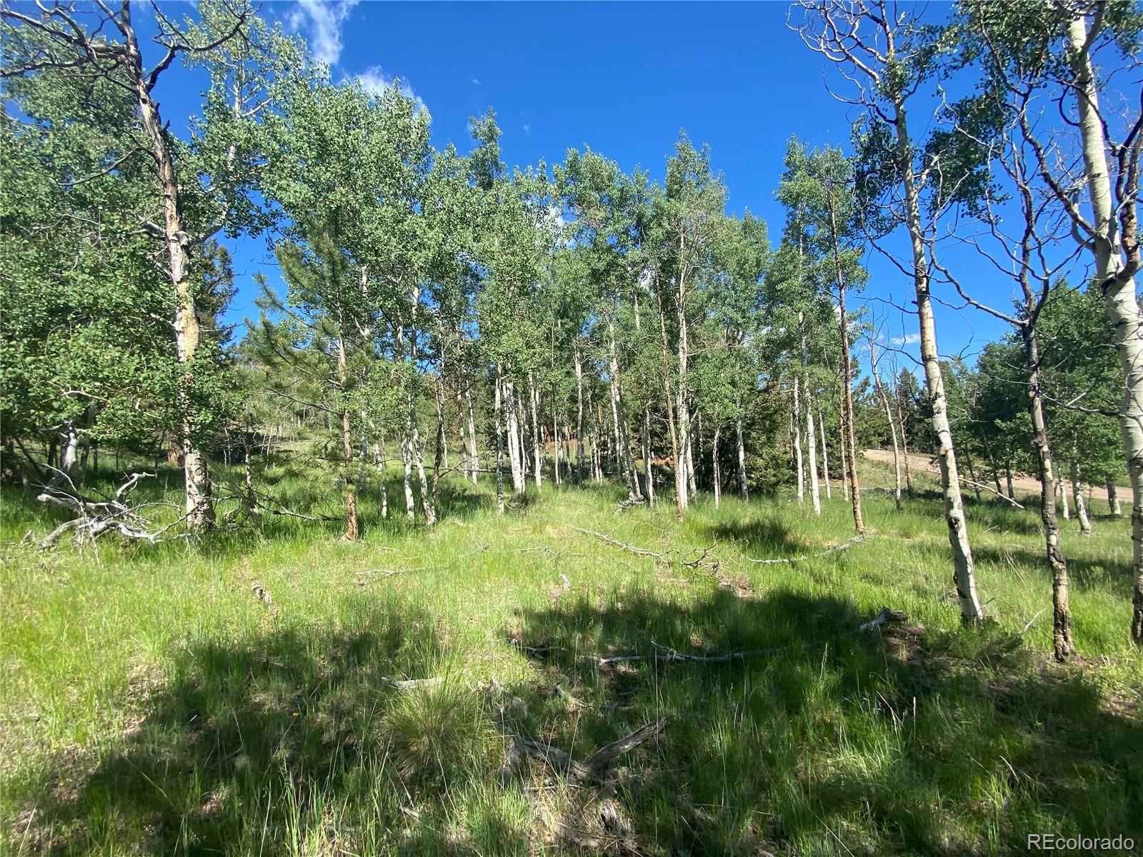 1828 Bellows Road Hartsel, CO 80449 - Photo 27 of 40