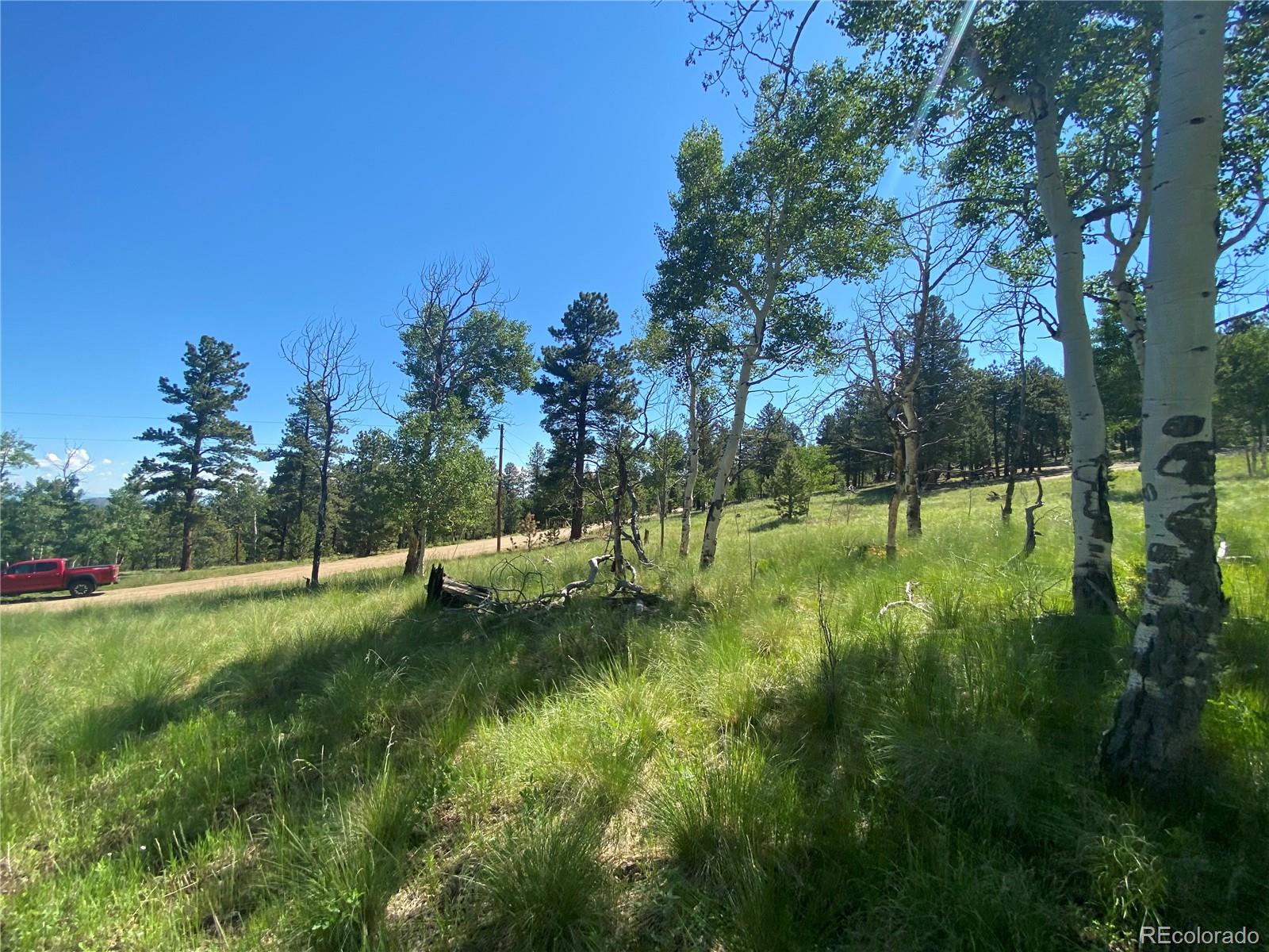 1828 Bellows Road Hartsel, CO 80449 - Photo 28 of 40