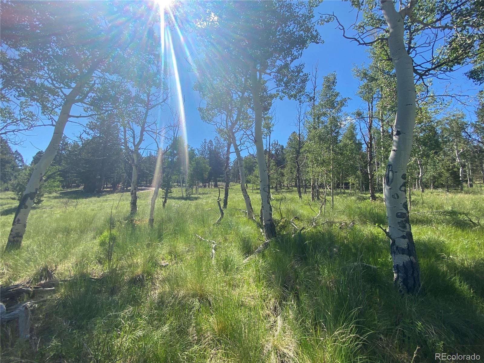 1828 Bellows Road Hartsel, CO 80449 - Photo 29 of 40