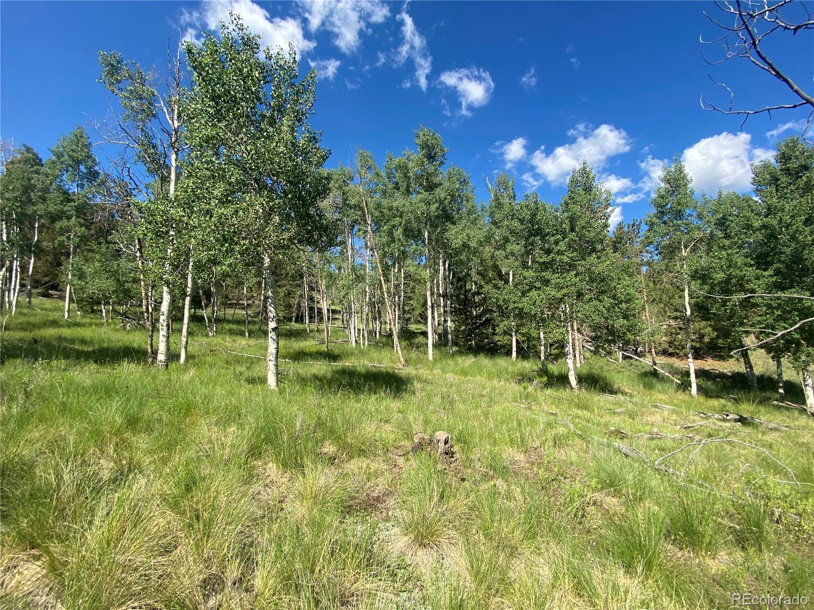 1828 Bellows Road Hartsel, CO 80449 - Photo 30 of 40