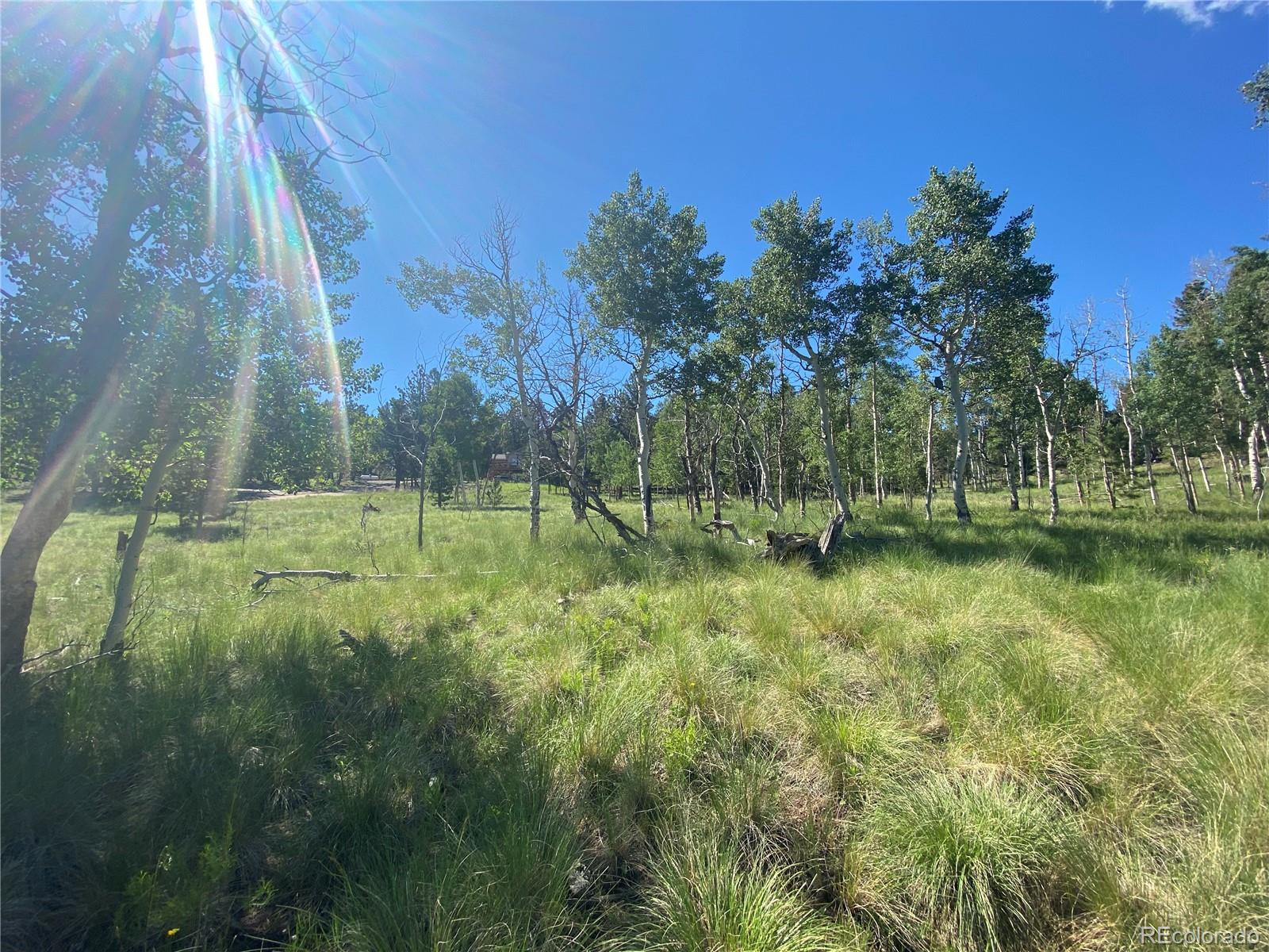 1828 Bellows Road Hartsel, CO 80449 - Photo 3 of 40