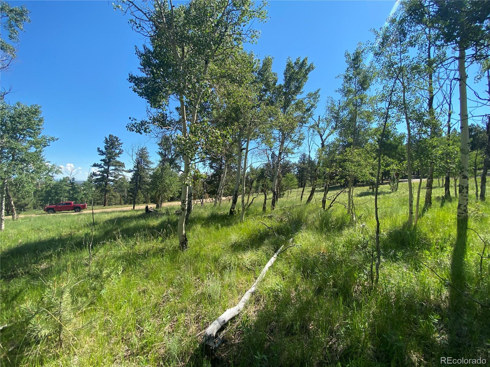 1828 Bellows Road Hartsel, CO 80449 - Photo 31 of 40