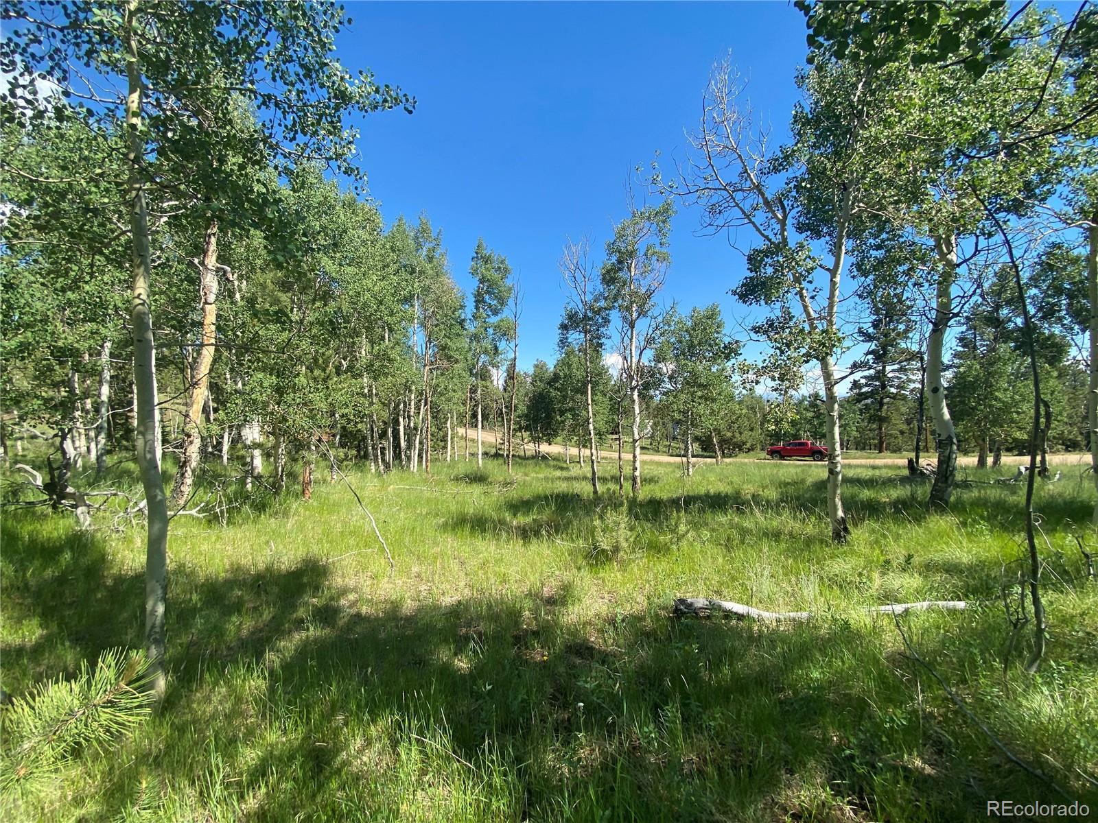 1828 Bellows Road Hartsel, CO 80449 - Photo 32 of 40