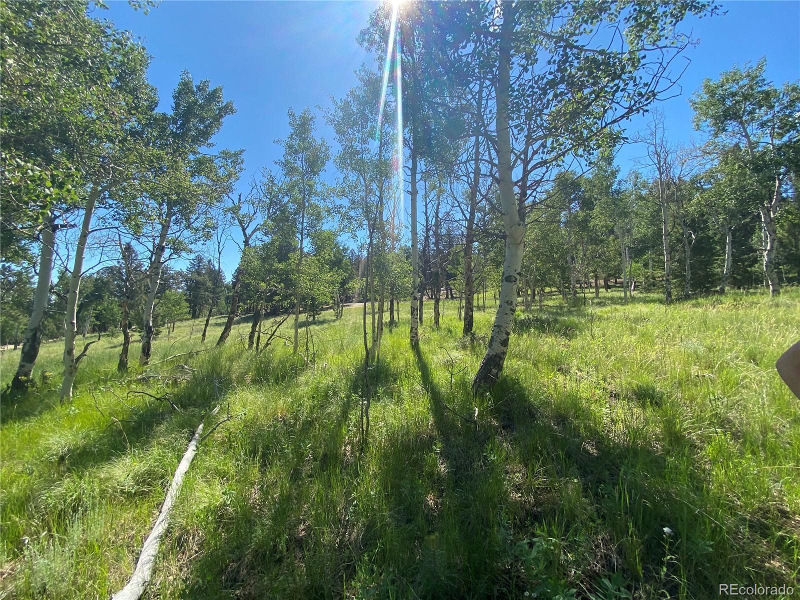 1828 Bellows Road Hartsel, CO 80449 - Photo 33 of 40
