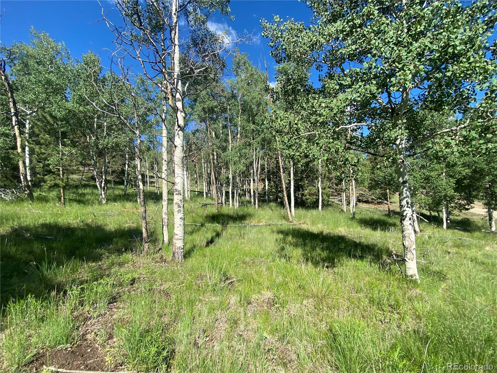 1828 Bellows Road Hartsel, CO 80449 - Photo 34 of 40