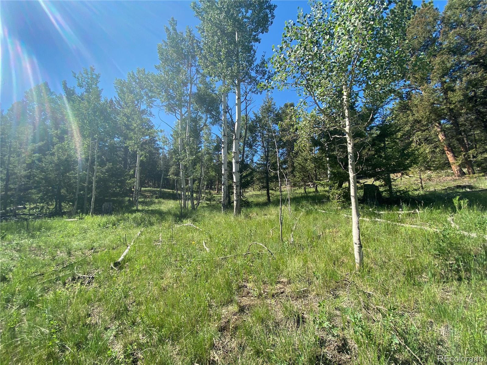1828 Bellows Road Hartsel, CO 80449 - Photo 35 of 40