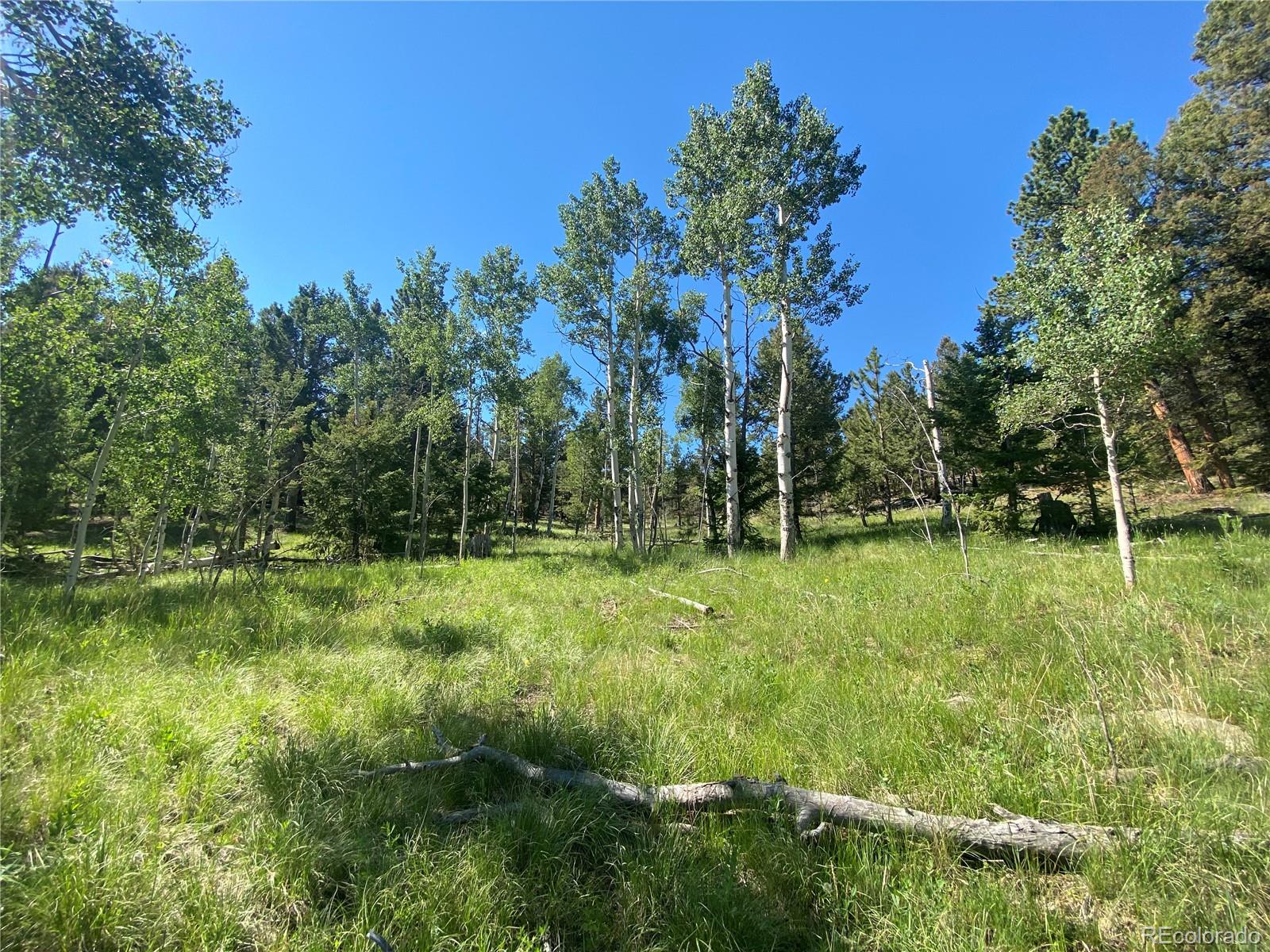 1828 Bellows Road Hartsel, CO 80449 - Photo 36 of 40