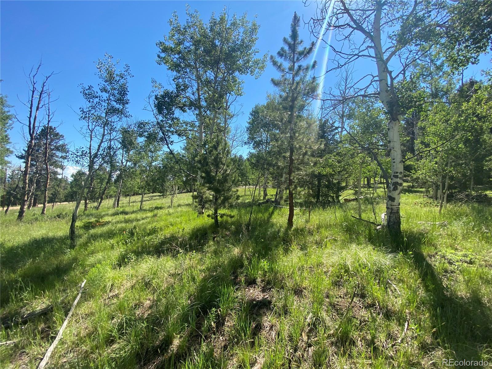 1828 Bellows Road Hartsel, CO 80449 - Photo 38 of 40