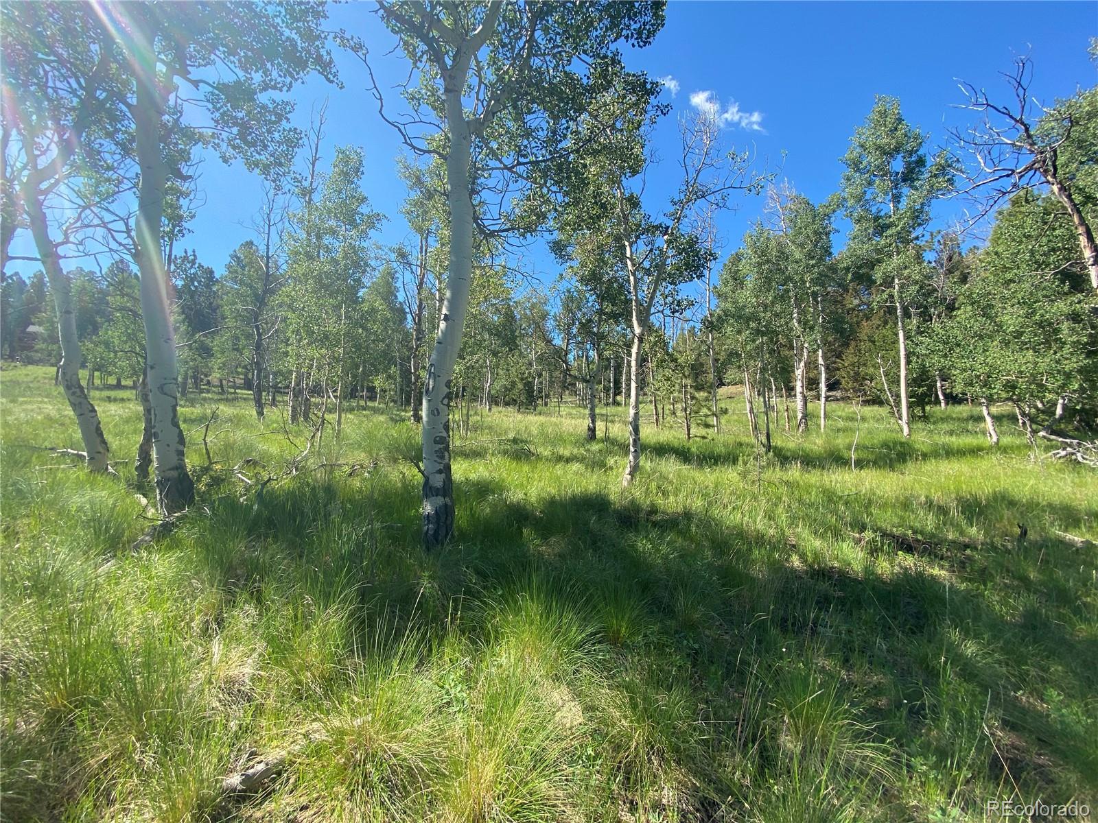 1828 Bellows Road Hartsel, CO 80449 - Photo 39 of 40