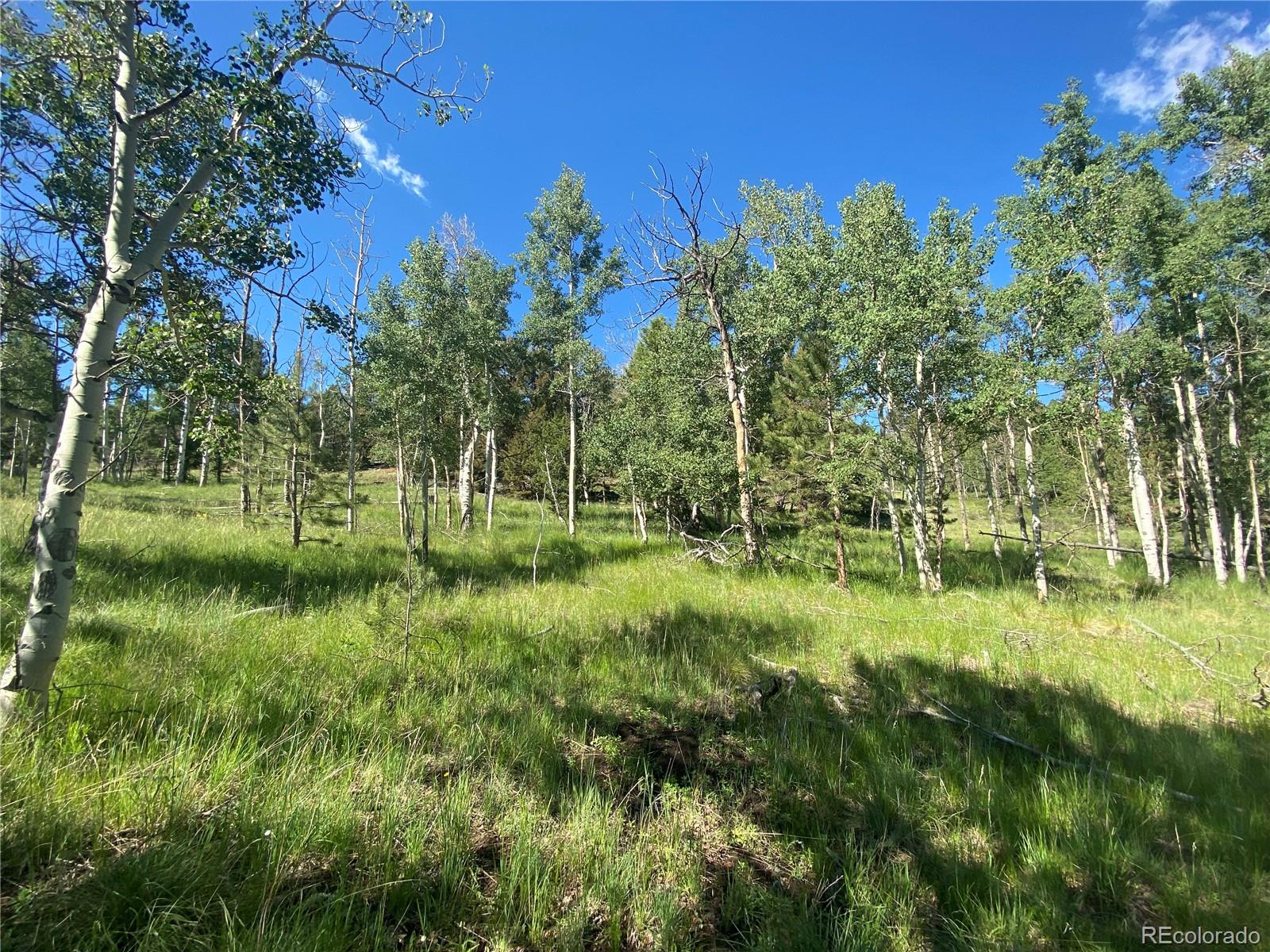 1828 Bellows Road Hartsel, CO 80449 - Photo 40 of 40