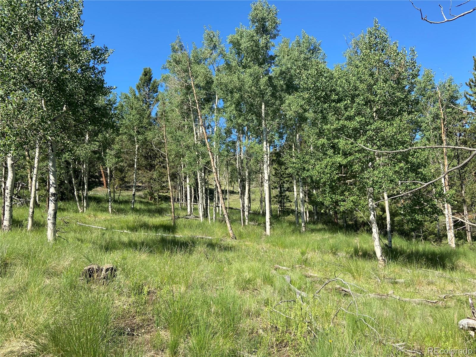 1828 Bellows Road Hartsel, CO 80449 - Photo 4 of 40