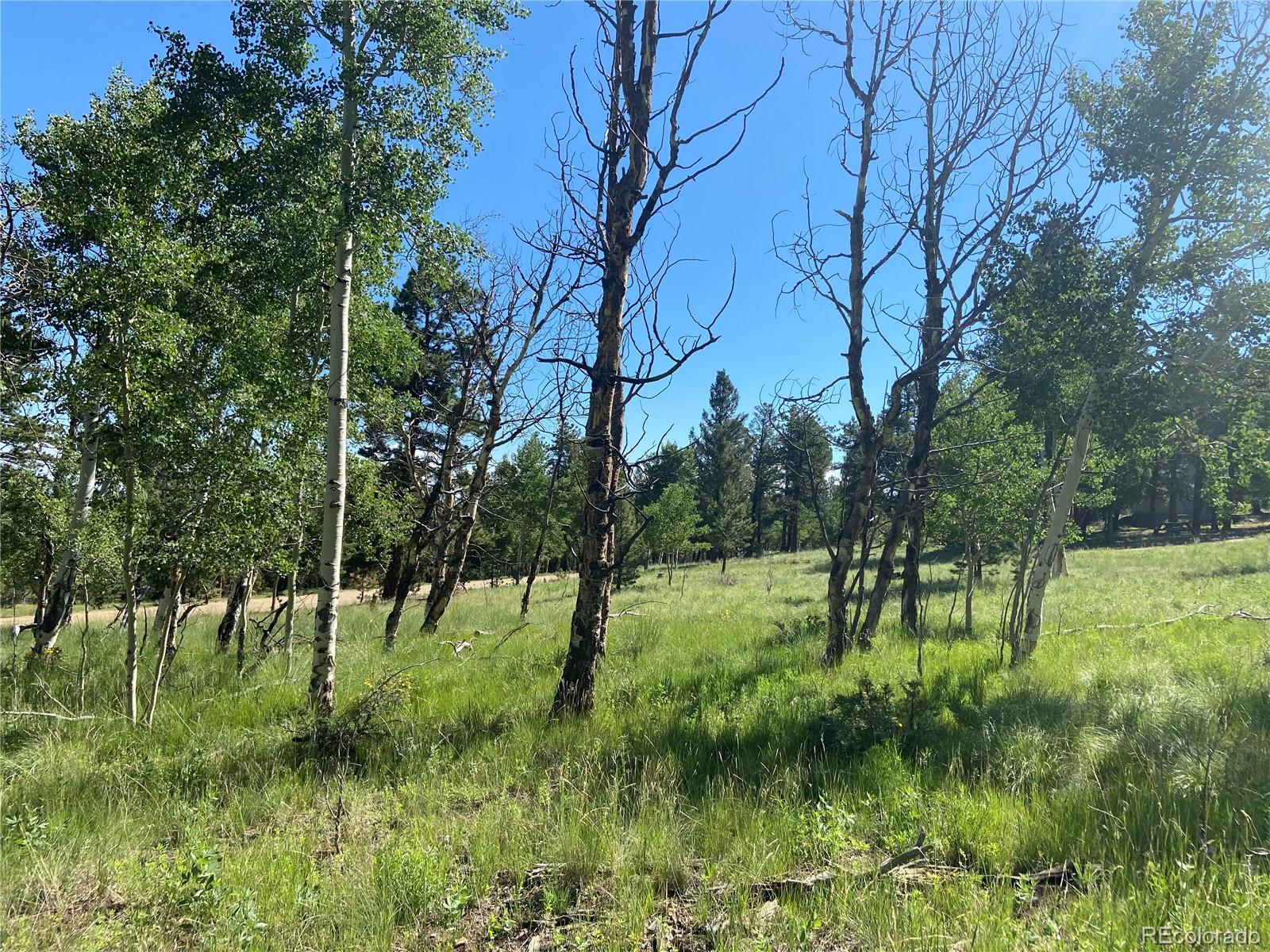 1828 Bellows Road Hartsel, CO 80449 - Photo 5 of 40