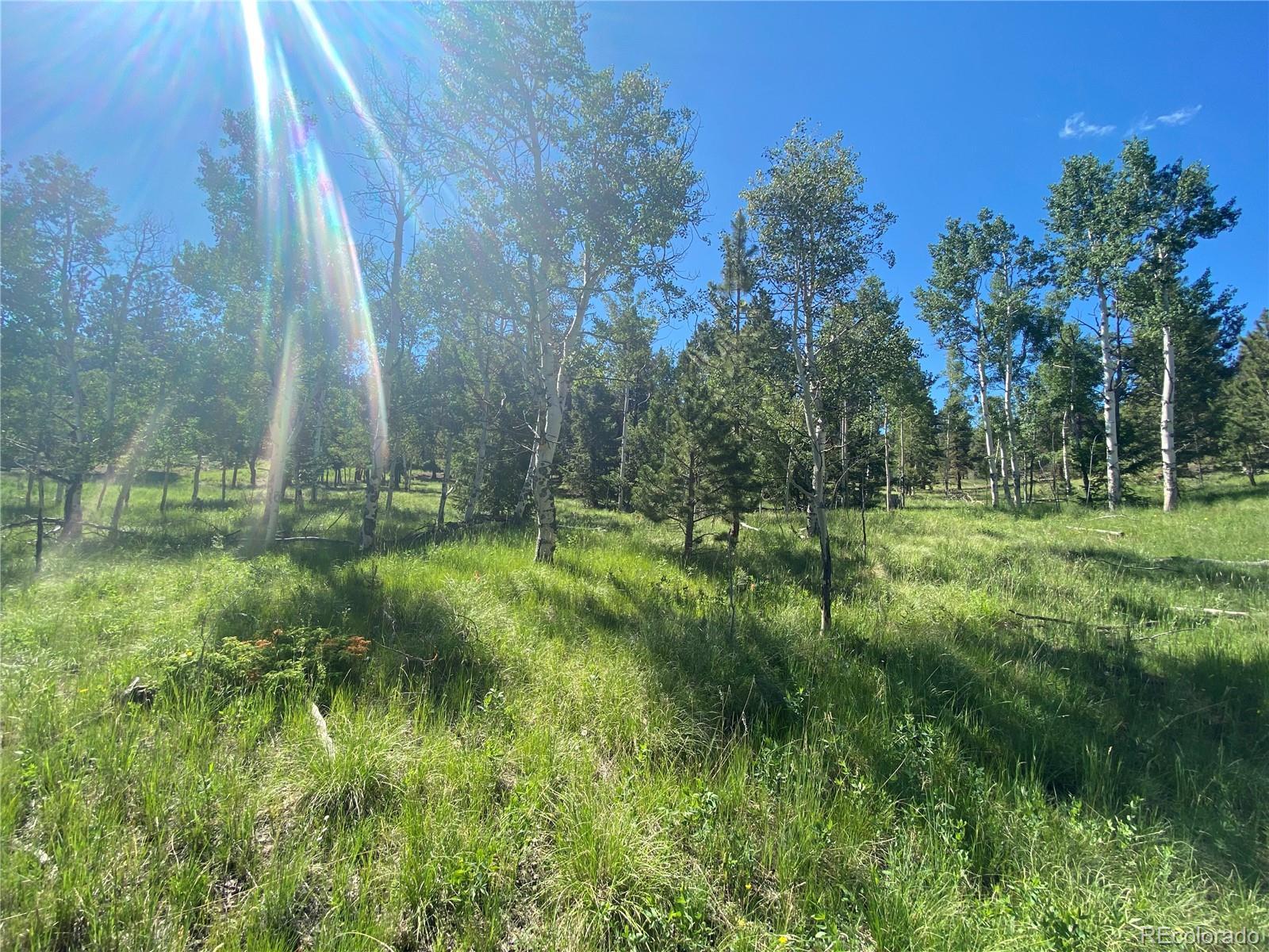 1828 Bellows Road Hartsel, CO 80449 - Photo 7 of 40