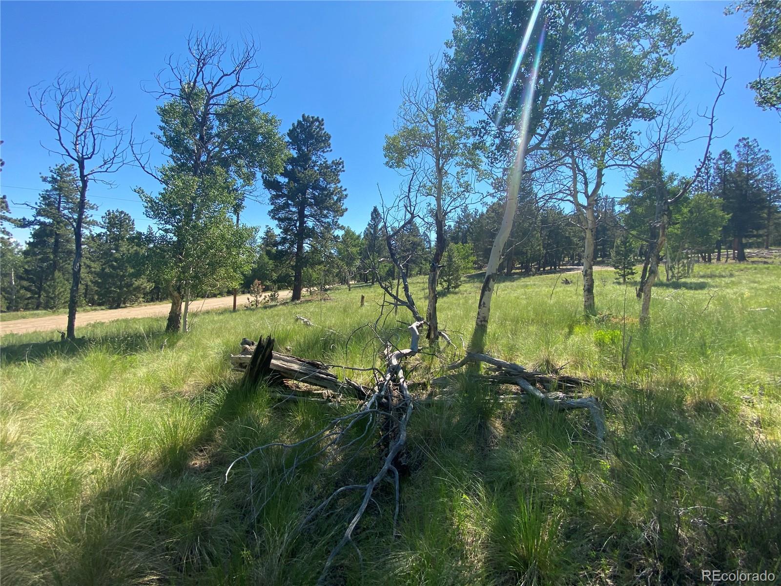 1828 Bellows Road Hartsel, CO 80449 - Photo 8 of 40