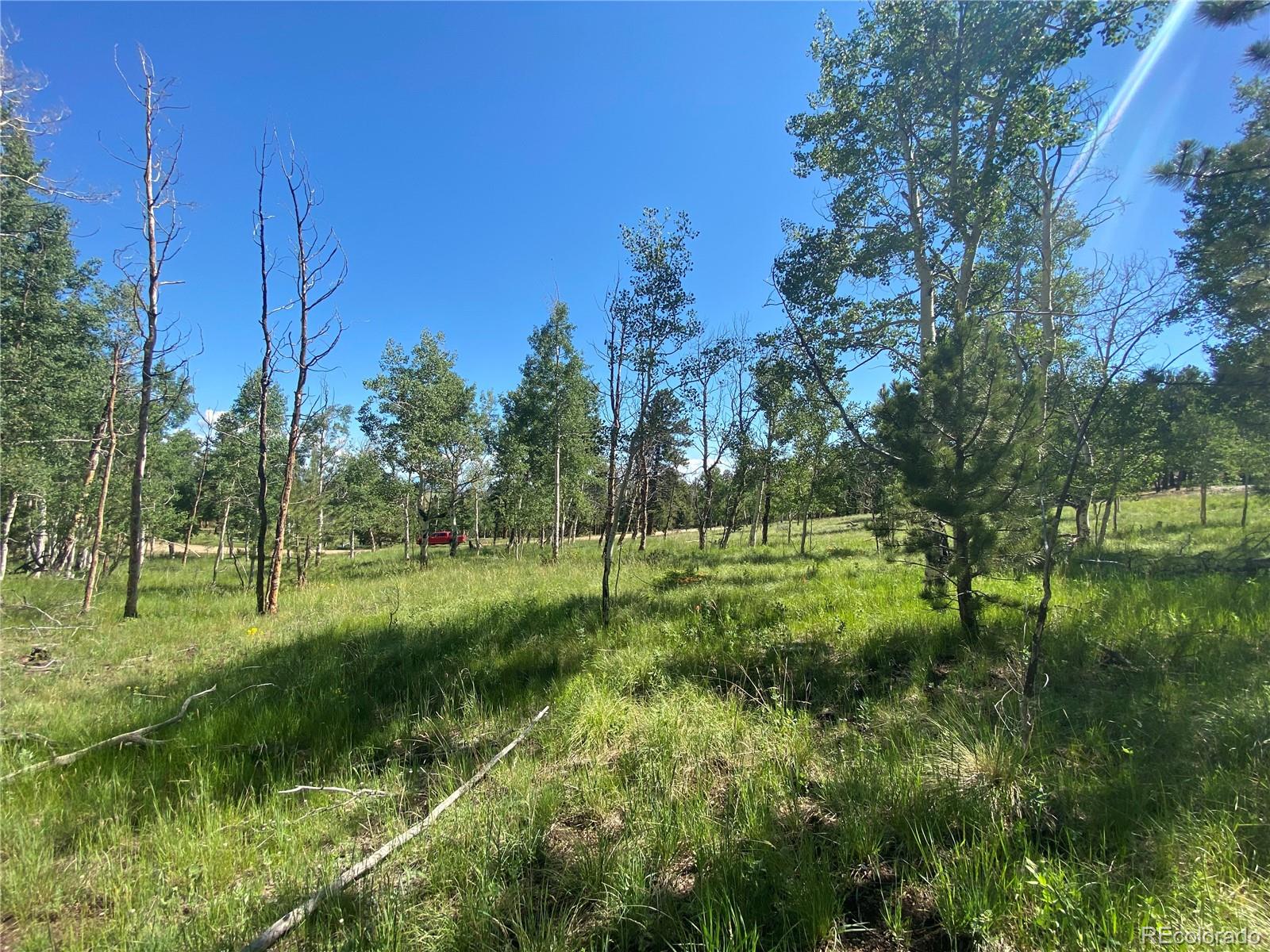 1828 Bellows Road Hartsel, CO 80449 - Photo 10 of 40