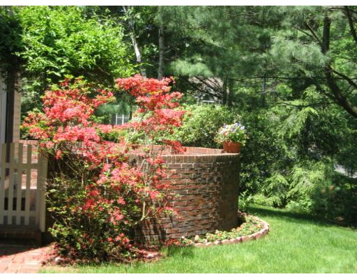 87 York Road Mansfield, MA 02048 - Photo 8 of 10 Gallery Image 8