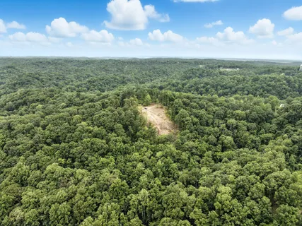 a view of a yard with plants and tree