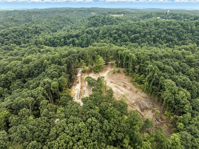 a view of a forest with a street