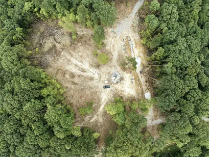 a view of a forest with an outdoor space
