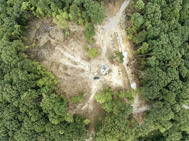 a view of a forest with an outdoor space