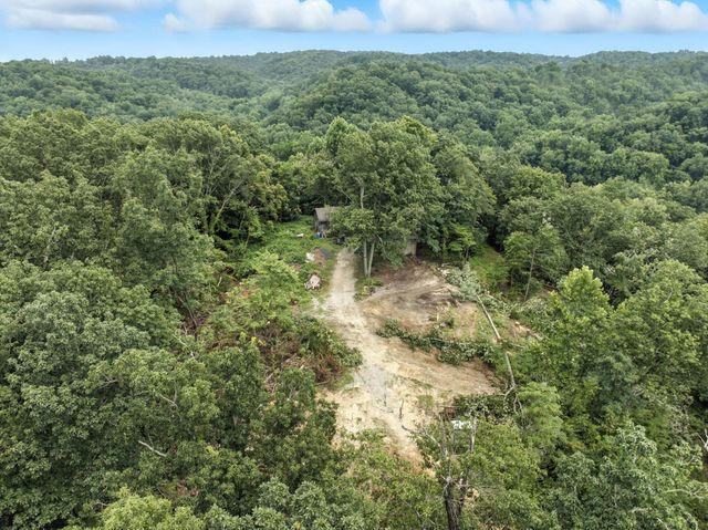 a view of a field of grass and trees
