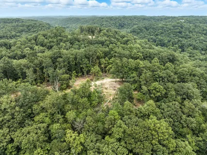 an aerial view of residential houses with outdoor space and trees