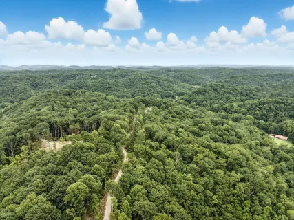 an aerial view of residential houses with outdoor space and trees