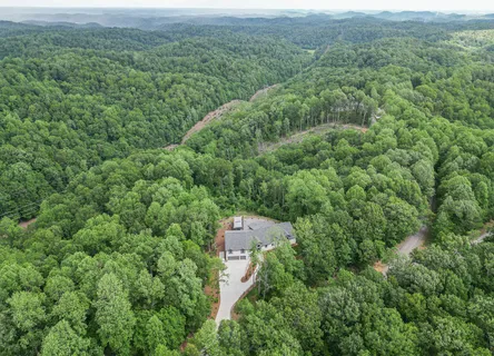 an aerial view of a house with garden space and trees