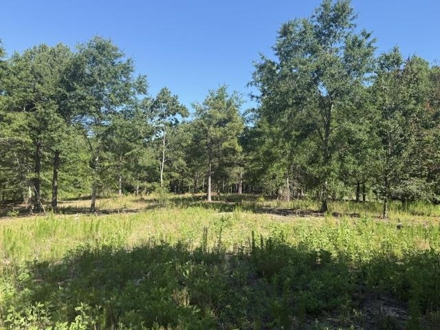 491 Crow Burk Road Pageland, SC 29728 - Photo 5 of 9