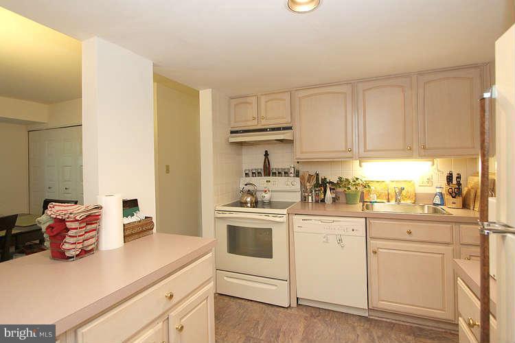 1784 Ivy Oak Square Reston, VA 20190 - Photo 11 of 30 Kitchen