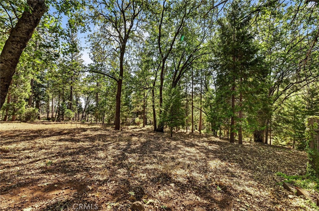10202 Cohasset Road Chico, CA 95973 - Photo 55 of 75