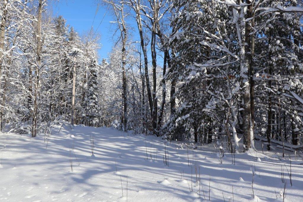 15660 Co Hwy M Cable, WI 54821 - Photo 29 of 32